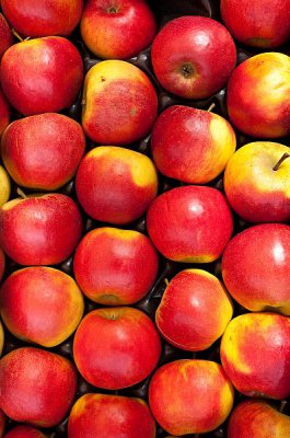 PP insert trays for fruits