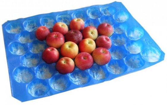 PP insert trays for fruits