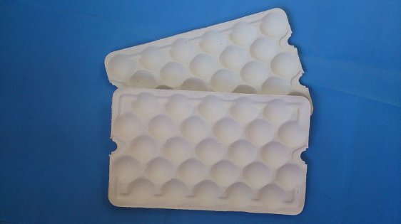 Moulded paper trays for fruits