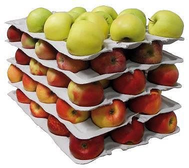 Moulded paper trays for fruits