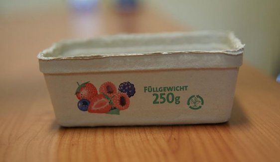 Cellulose packagings for fruits